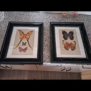 Set of framed vintage butterfly book plates